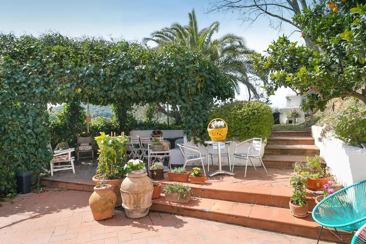 Casa Costanza Apartment Campiglia Marittima Italy