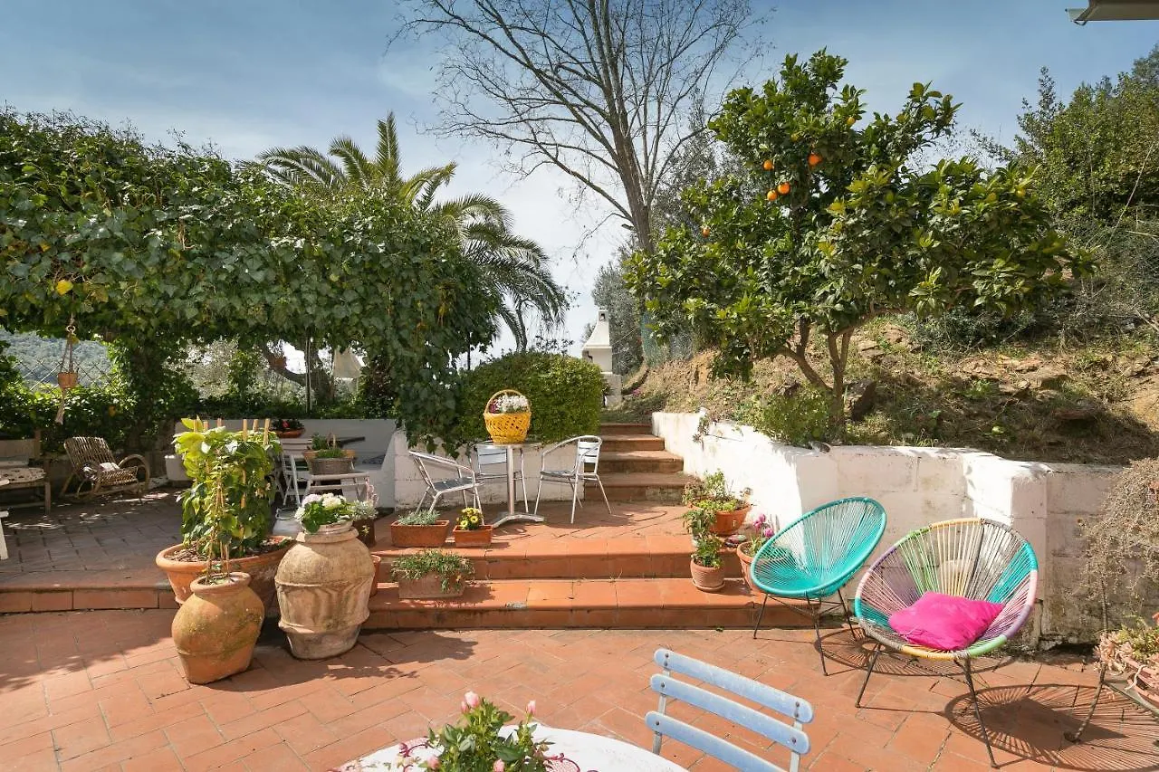 Casa Costanza Apartment Campiglia Marittima