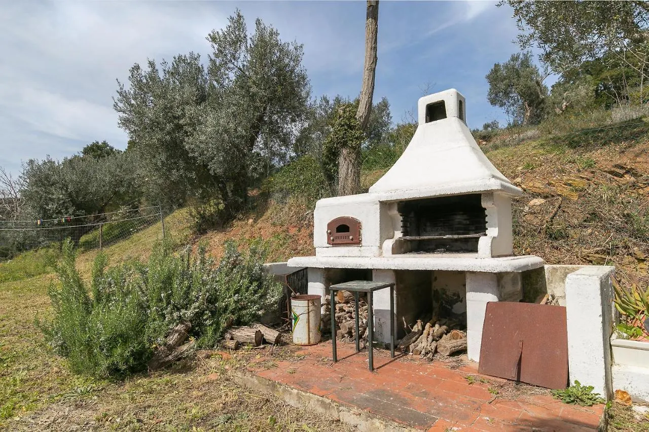 Casa Costanza Apartment Campiglia Marittima