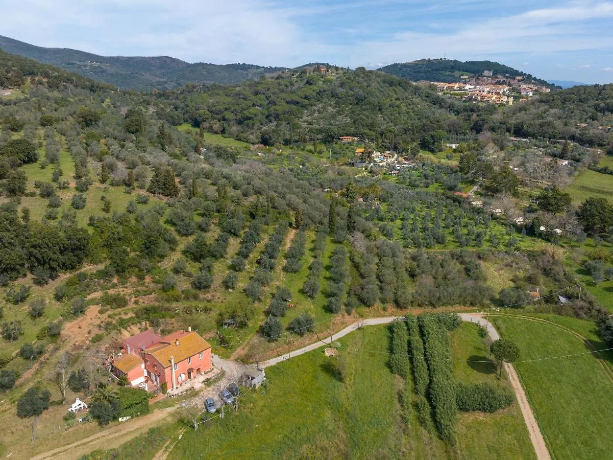 Casa Costanza Apartment Campiglia Marittima